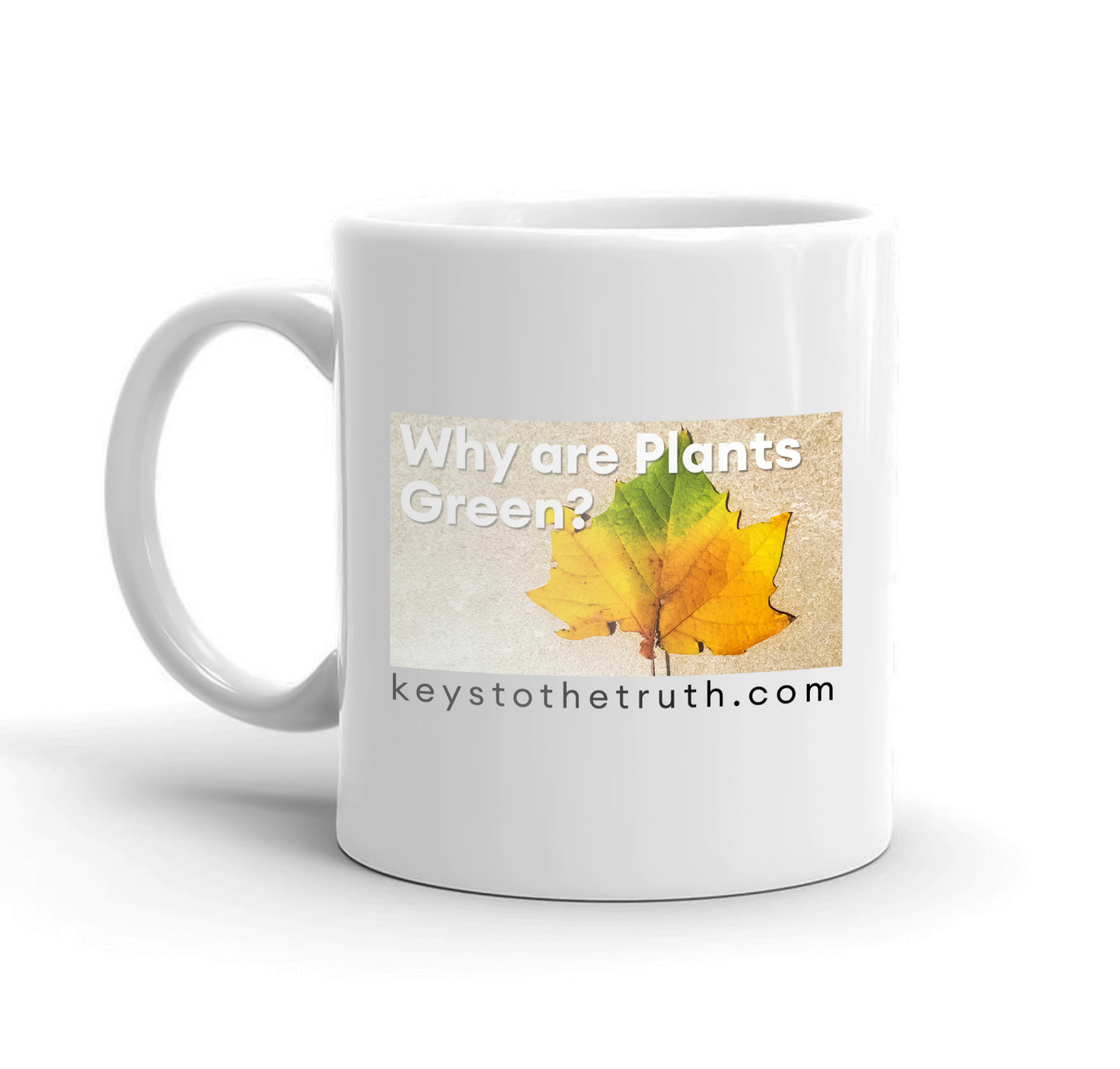 A white mug with the thumbnail print of the youtube video "why are plants green?" and the website "keystothetruth.com".